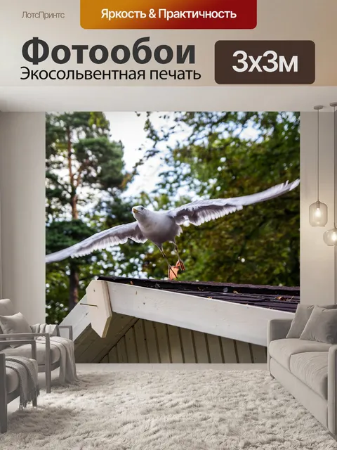 Фотообои Птица