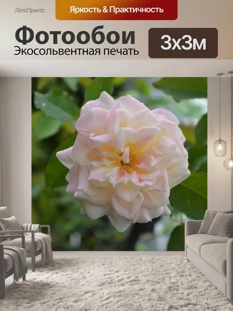 Фотообои Цветок