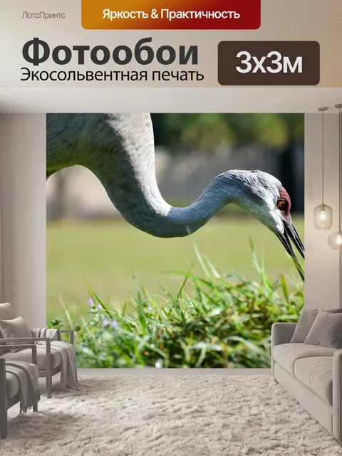 Фотообои Птицы
