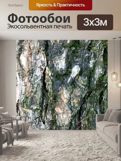 Фотообои Природа соснового леса в Фу Руа