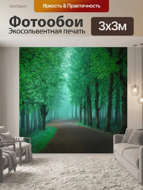 Фотообои лавровый лес с туманными тропами