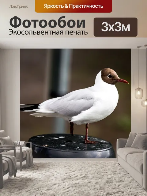 Фотообои Птица