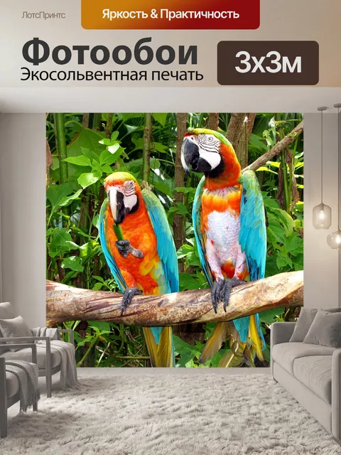 Фотообои Попугаи