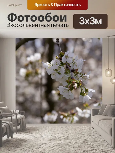 Фотообои Фруктовый цветок