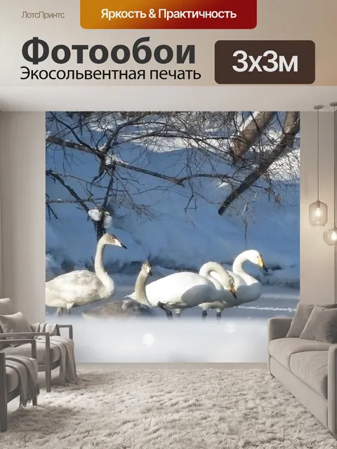 Фотообои Дикие лебеди
