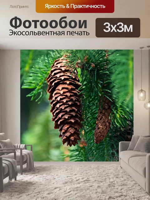 Фотообои Еловая шишка