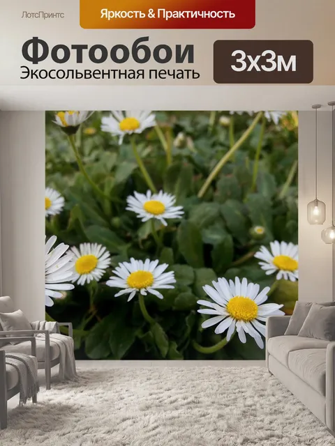 Фотообои Цветы