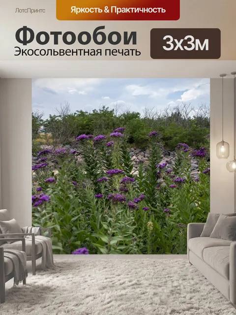Фотообои Фиолетовые полевые цветы