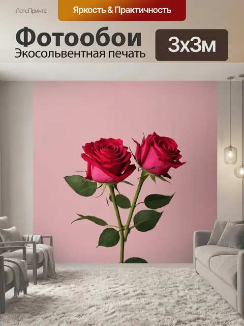 Фотообои розы в стиле минимализм