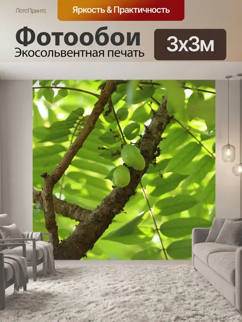 Фотообои Фрукты