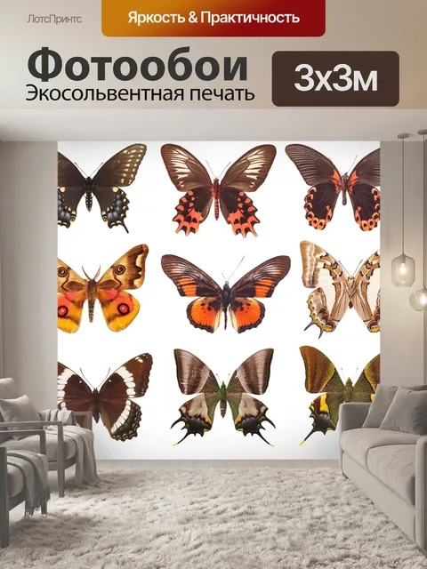 Фотообои Бабочки
