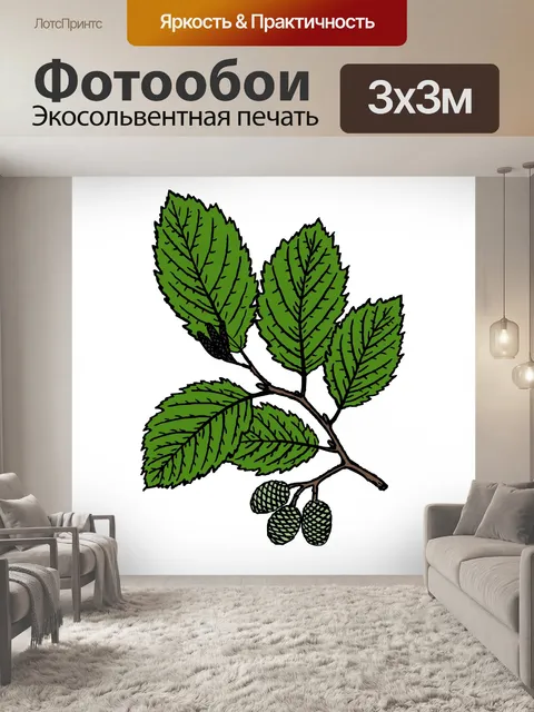 Фотообои Листья и плоды ольхи