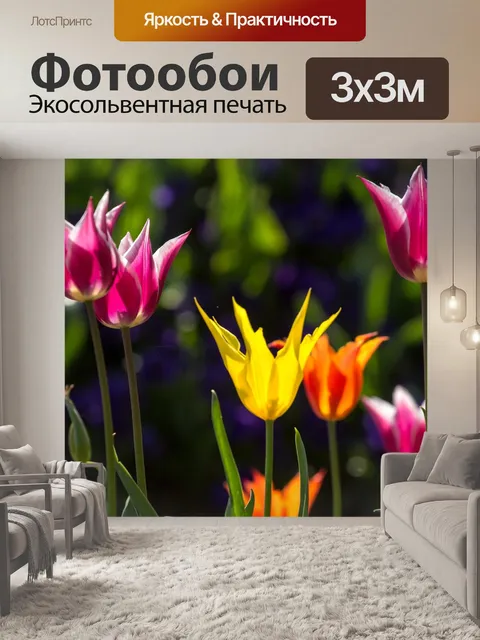 Фотообои Тюльпаны