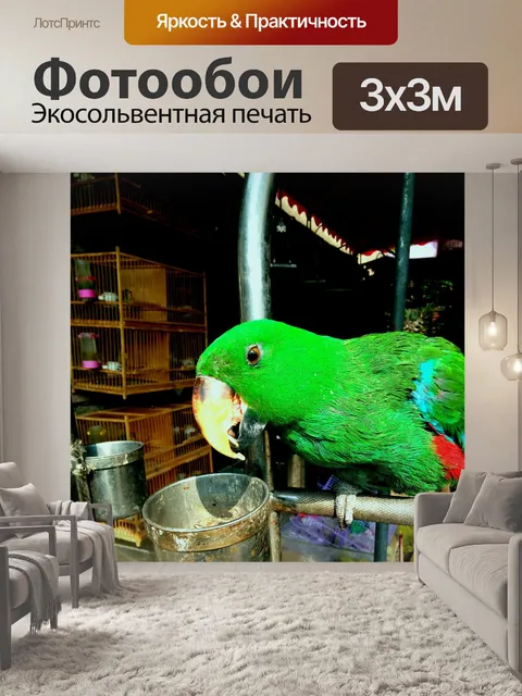 Фотообои Зеленый попугай