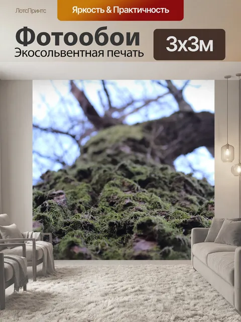 Фотообои Дерево