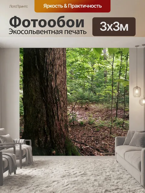 Фотообои Большое дерево