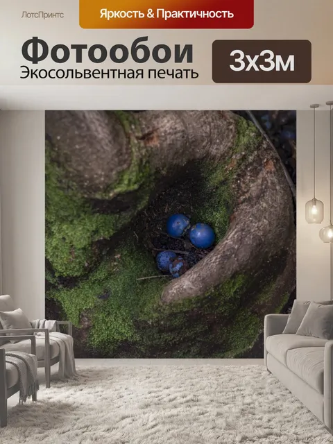 Фотообои Плоды синего мраморного дерева