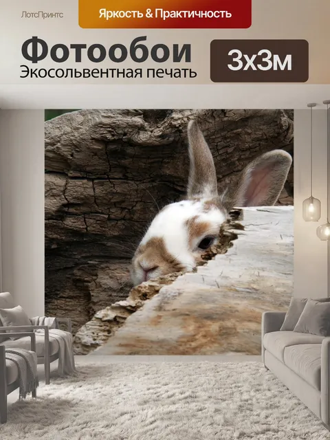 Фотообои Кролик