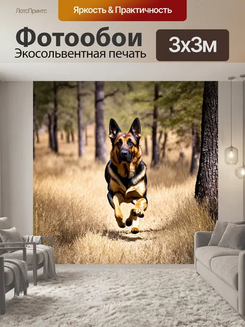 Фотообои в обширном буше австралийской природы
