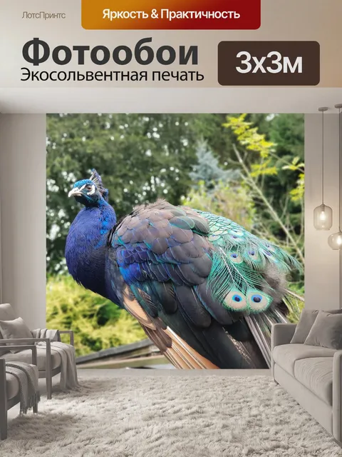 Фотообои Павлин