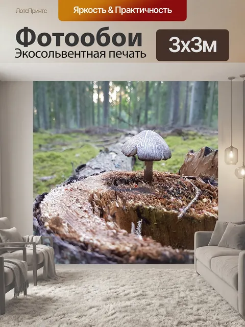 Фотообои Гриб