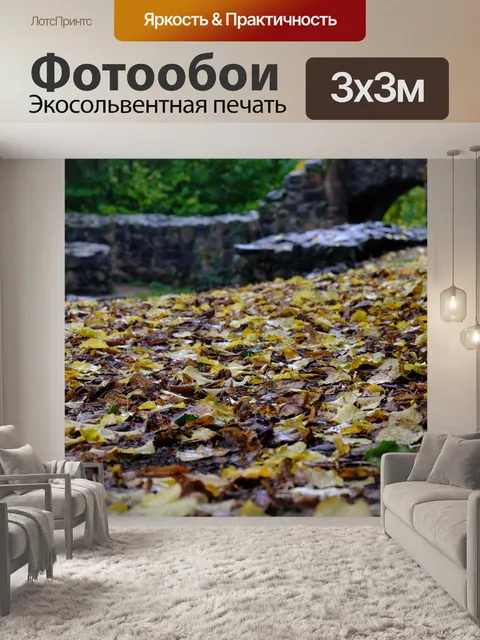 Фотообои Опавшие листья