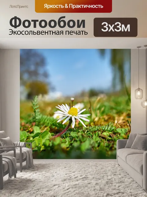 Фотообои Луг
