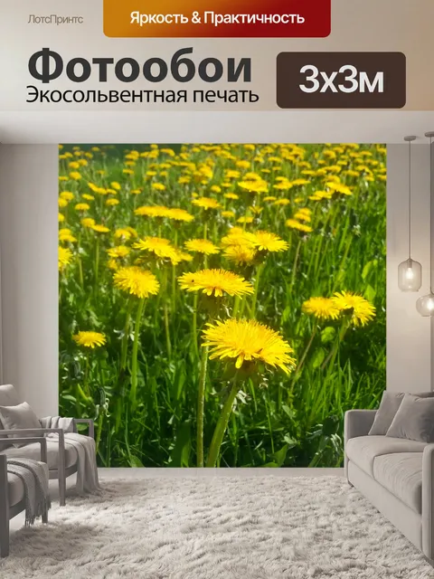 Фотообои Одуванчики