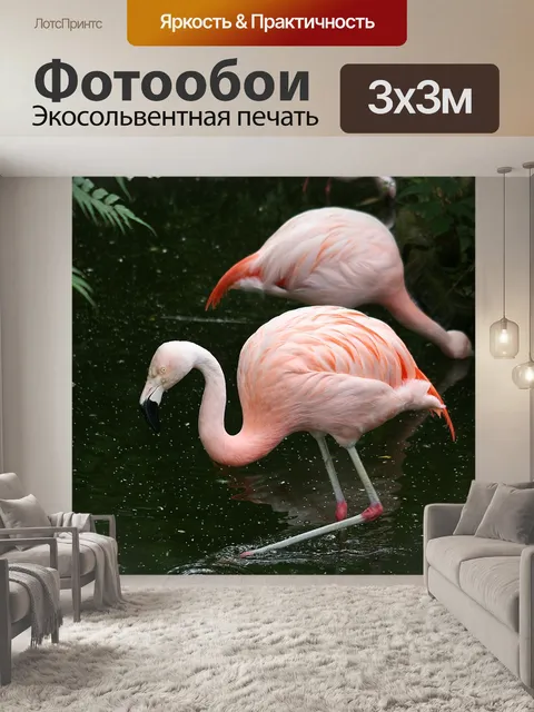 Фотообои Фламинго