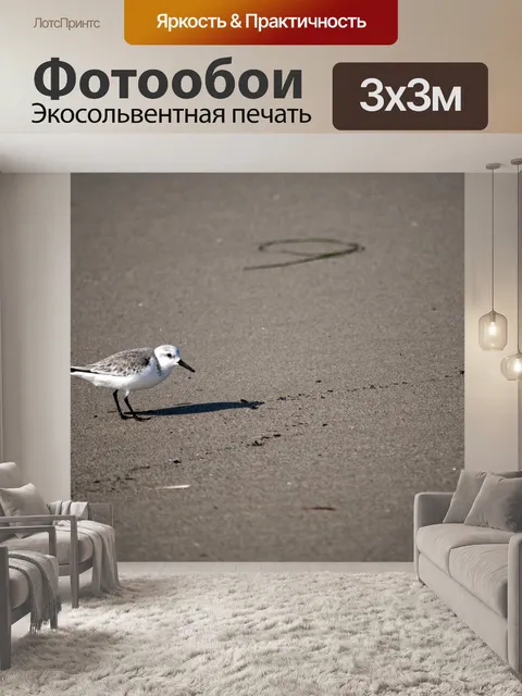 Фотообои Одиночные песчинки