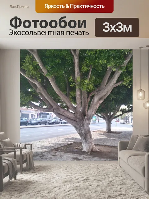 Фотообои Ствол и ветви дерева