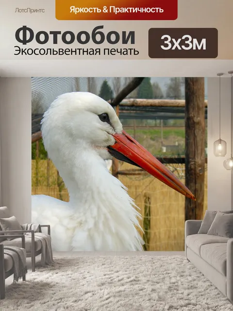 Фотообои Аист