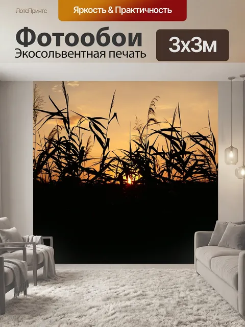Фотообои Запад