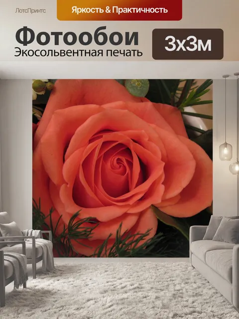 Фотообои Роза