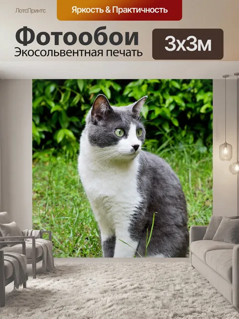 Фотообои Милый