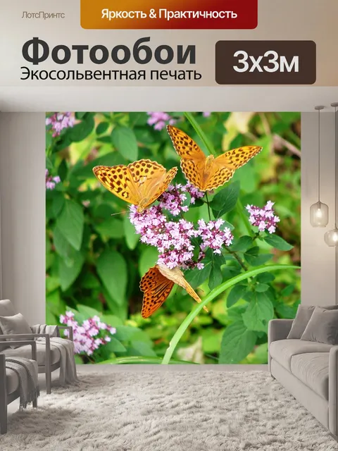 Фотообои Бабочка