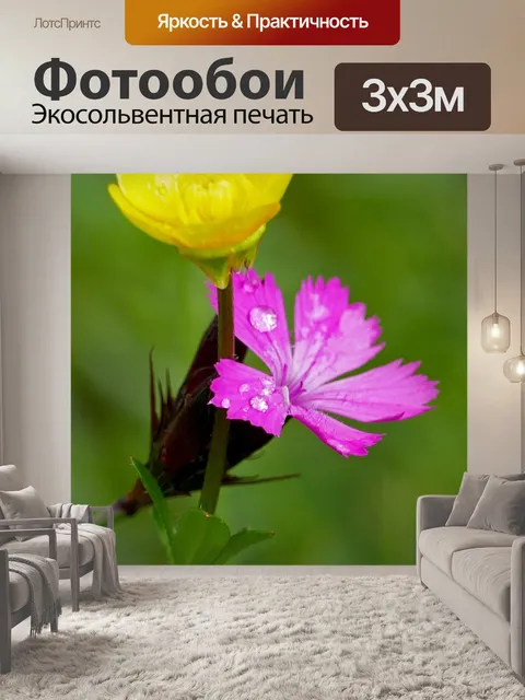 Фотообои Пейзаж