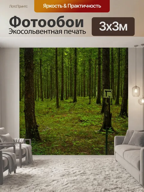 Фотообои лес с охотничьими знаками и старыми путевыми указателями между деревьями
