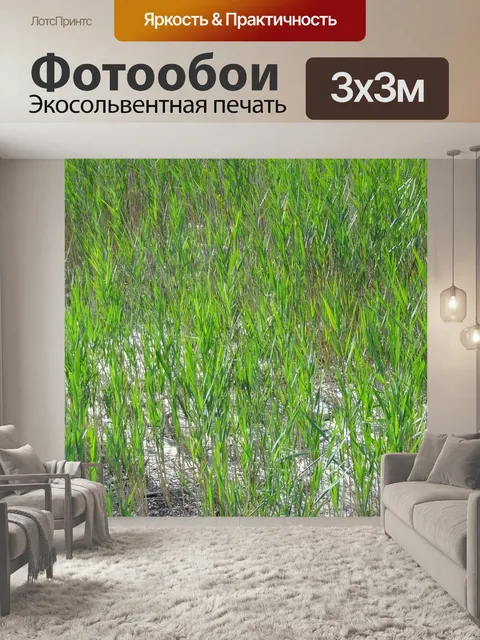Фотообои Природа