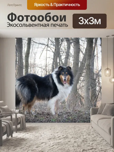 Фотообои Собака