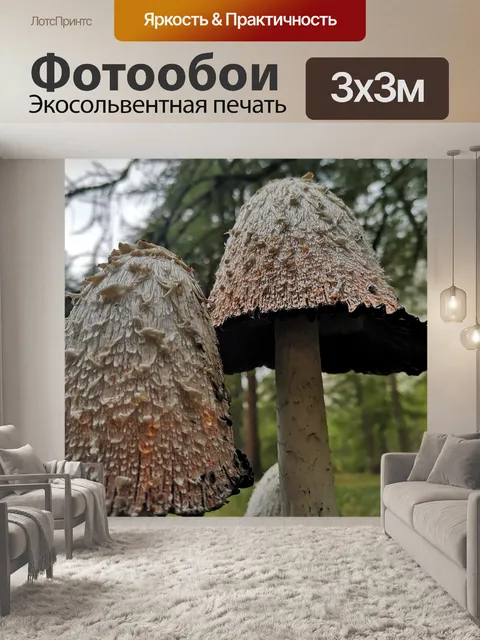 Фотообои Гриб