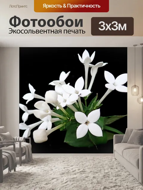 Фотообои Цветы