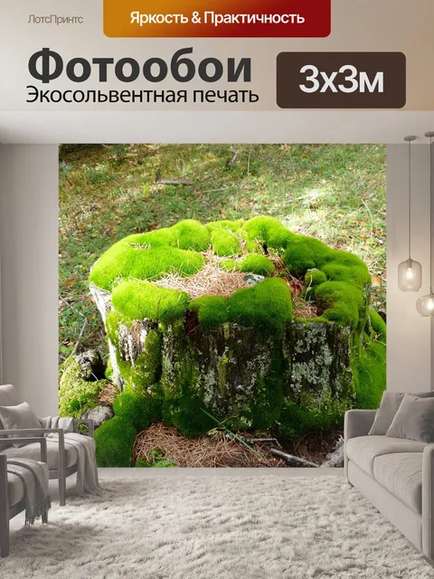 Фотообои Природа
