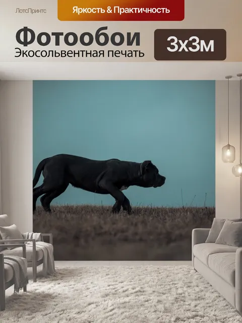 Фотообои Bandog