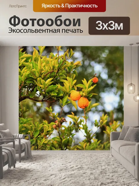 Фотообои лимонов на дерево лимона