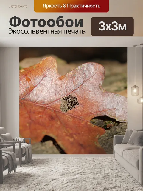 Фотообои Листья