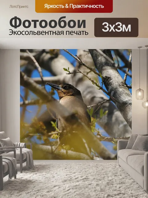 Фотообои Птица