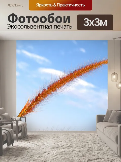 Фотообои Цветки одичалые Стоковая Фотография