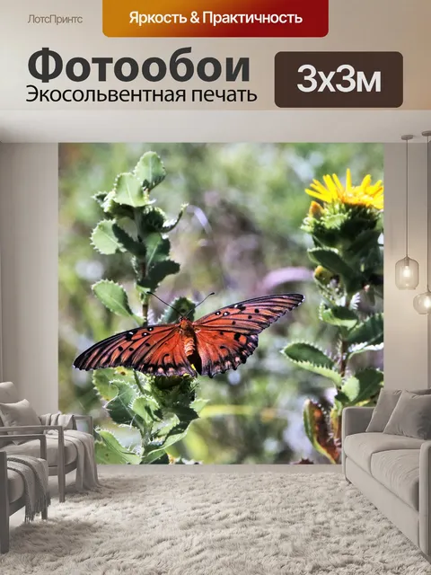 Фотообои Залив Fritillary Butterfly 2