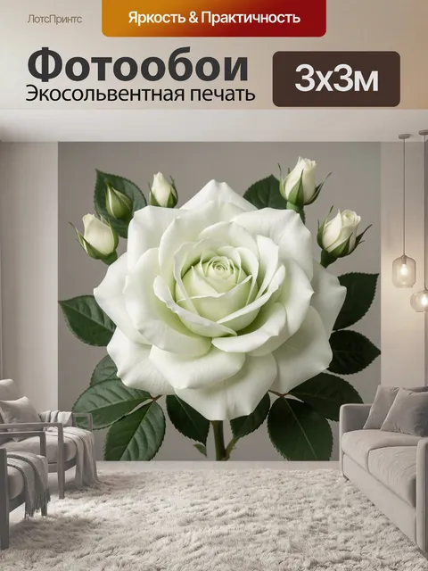 Фотообои Белая роза с бутонами